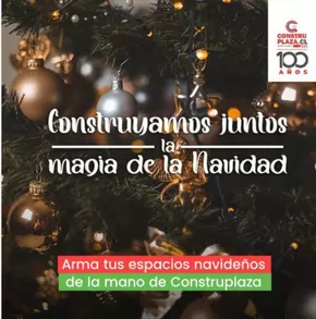 Catálogo Construplaza en San Bernardo | Decora tu Navidad! Hasta -67%. | 2024-12-18T00:00:00-03:00 - 2024-12-30T23:59:00-03:00