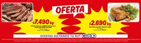 Catálogo Mayorista 10 en Concepción | Oferta dictando! | 2025-01-13T00:00:00-03:00 - 2025-01-16T23:59:00-03:00