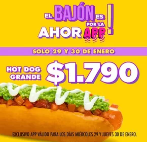 Catálogo Doggis en Antofagasta | El bajon es por ahor app! | 2025-01-30T00:00:00.000Z - 2025-01-30T00:00:00.000Z